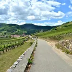 Naova Cosy Kaysersberg-Vignoble