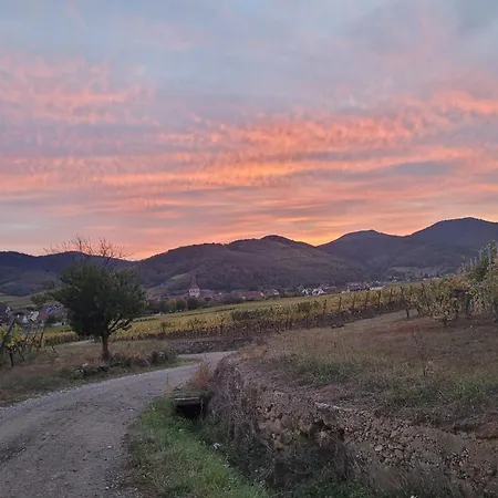 Naova Cosy Kaysersberg-Vignoble