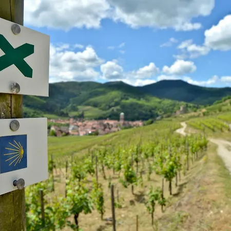 Naova Cosy Apartamento Kaysersberg-Vignoble