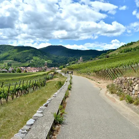 Naova Cosy Kaysersberg-Vignoble