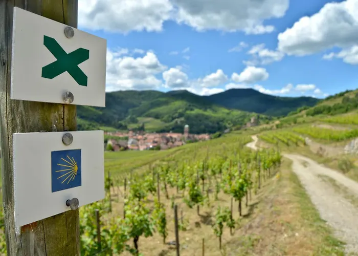 Naova Cosy Apartment Kaysersberg-Vignoble