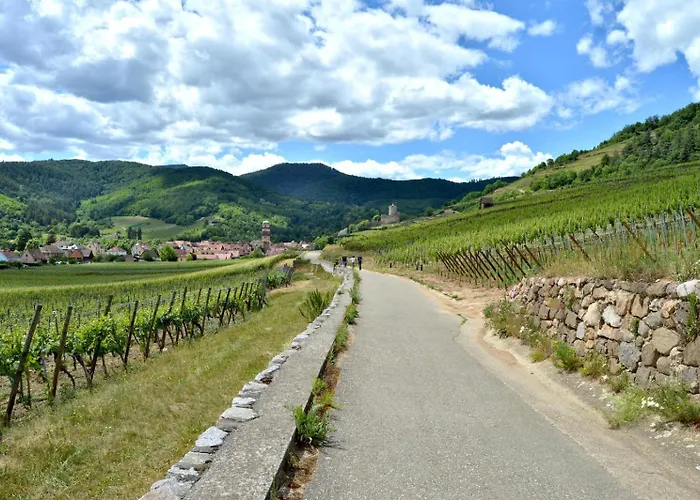 Naova Cosy Kaysersberg-Vignoble