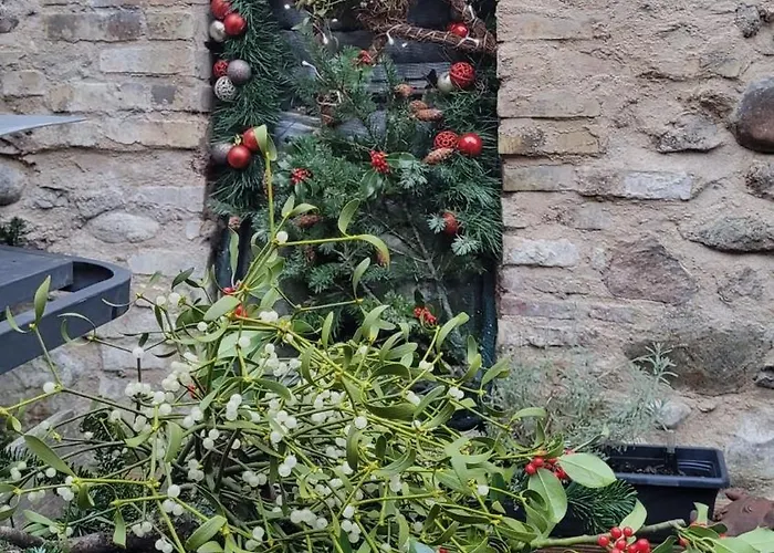 Naova Cosy Kaysersberg-Vignoble