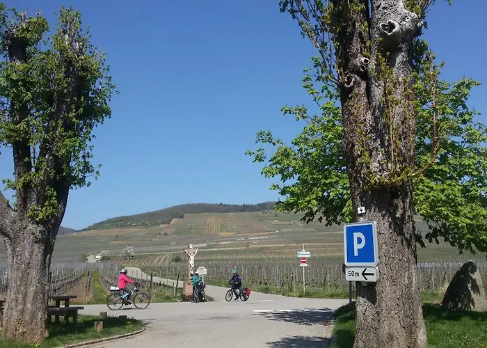 Apartment Naova Cosy Kaysersberg-Vignoble