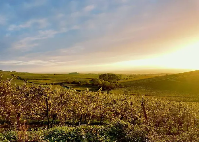 Naova Cosy Apartment Kaysersberg-Vignoble