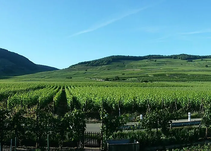 Apartment Naova Cosy