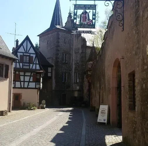 Naova Cosy Apartment Kaysersberg-Vignoble